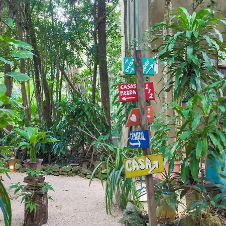 Guest House La Aldea Holistic Experience-3